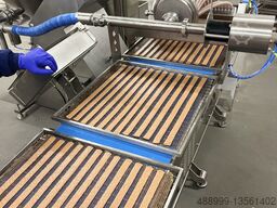 HydroShpriz SAS200 module to Handtmann,REX