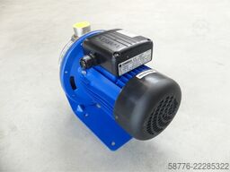 Lowara C0350/05K/A Kreiselpumpe mit SM71BG/305 Motor SN: 00866 --