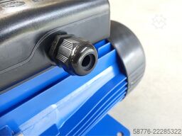 Lowara C0350/05K/A Kreiselpumpe mit SM71BG/305 Motor SN: 00866 --
