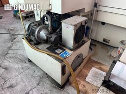 ROSA ERMANDO STEEL 11.7 CN