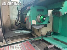 ROSA ERMANDO STEEL 11.7 CN