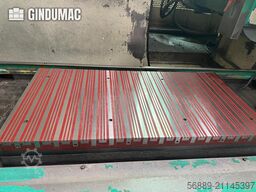 ROSA ERMANDO STEEL 11.7 CN