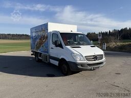 Mercedes-Benz 516 CDI Kühlkoffer/HB / Swiss-Vehicle