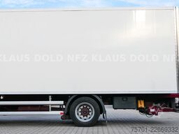 MERCEDES-BENZ Antos 1833 Kühlkoffer Bi-Temp. LBW Euro 6