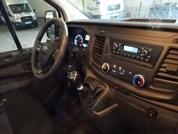 FORD Transit Custom 260 L1H1 LKW City Light Audio12