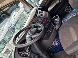 DAF 460, Retarder, Bullfänger, Limited Edition