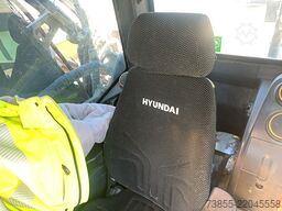 Hyundai HX520AL