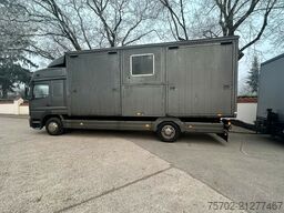 Mercedes-Benz Atego 823 4 Pferde