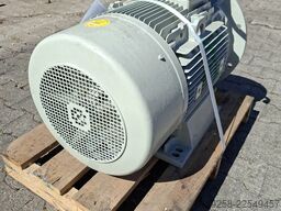 Scholz / Siemens 1LA6223-4AA66225M
