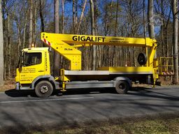 Ruthmann T 265 ( 10408 )