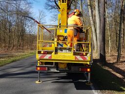 Ruthmann T 265 ( 10408 )