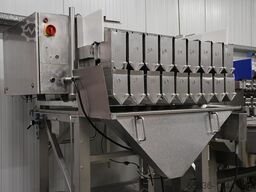 Newtec 9 heads weigher