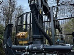 Palms 16,30 U / FK 7.94