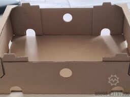 BOIX PF-4/D + AMP/R