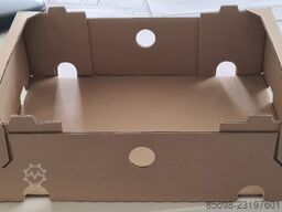 BOIX PF-4/EC + AMP/R
