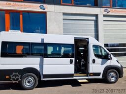 FIAT 1x Ducato 1x  Opel Movano 18 SS  in Stock