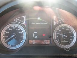 DAF CF 230 19T Schiebeplane LBW Portalturen