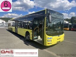 MAN A44 Lions City LLE