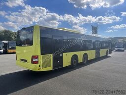 MAN A44 Lions City LLE