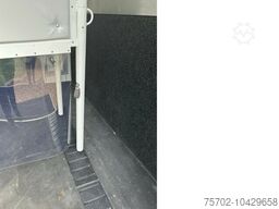 Steinsberger 3-Pferde mit Bett Modell derfaller