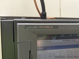 TATUNG OKUMA L300-MW