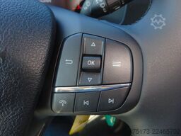 FORD Transit 350 L4 Koffer LBW Trend Bi-Xenon Klima