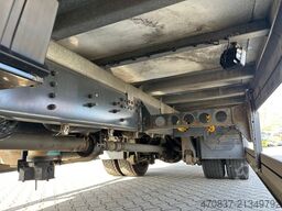 SCANIA P250 / LBW / Carrier 1150 MT / Seitentür / Trenn