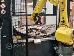 Halter Load Assistant