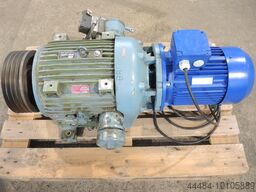 PRIMULTINI VAR-SPE 1016/000/1AB