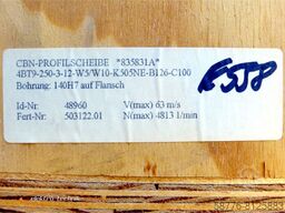 EFFGEN Effgen 4BT9-250-3-12-W5/W10-K505NE-B126-C100 Scheibe 503122.01 -!-