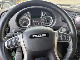 DAF XF 480 XF 480