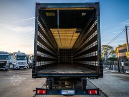 SAMRO S338D HPF+ PORTE FIT