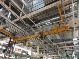 Stahl 250KG Hängekran 1,5-6,35 m Kranhimmel Portalkran Kran mehrere vorh.