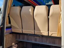 MERCEDES-BENZ 519 und 517 Glasdach XXL  20 Sitze Stock