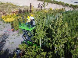 Mazaka Heavy Industry C65D AGRILIFT