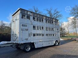 Pezzaioli Livestock 1/2/3 Type 2