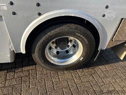 Pezzaioli Livestock 1/2/3 Type 2