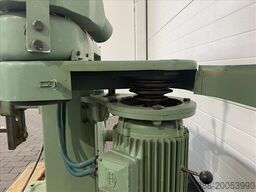 VIET Gartner FLK 4