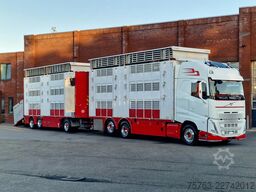 Volvo FH 13.500 XL 6x2 - Pezzaioli livestock 3 deck +...