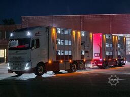 Volvo FH 13.500 XL 6x2 - Pezzaioli livestock 3 deck +...