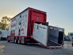 Volvo FH 13.500 XL 6x2 - Pezzaioli livestock 3 deck +...