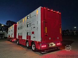 Volvo FH 13.500 XL 6x2 - Pezzaioli livestock 3 deck +...