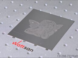 Wattsan FL TT 20-100W