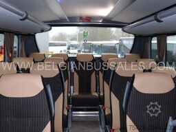 Iveco Evadys 13m / WC / 3-Point seat belts / NEW!!
