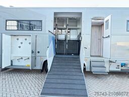 MERCEDES-BENZ Actros 2651 AKX  Pop-Out,  6 Pferde