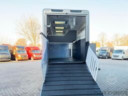 MERCEDES-BENZ Actros 2651 AKX  Pop-Out,  6 Pferde