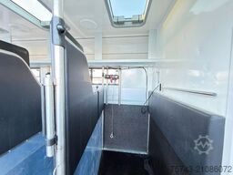 MERCEDES-BENZ Actros 2651 AKX  Pop-Out,  6 Pferde