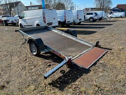 TEMARED Multitransporter 3016 DMC GG750KG 100KMH