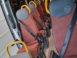 MERCEDES-BENZ Sprinter Lord Light 22 Sitzer 5 x Lagerfahrzeug