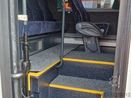 TEMSA 8 units Prestij SX,Novo Lux, Daily, Atego